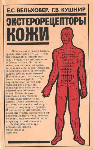 Экстерорецепторы кожи