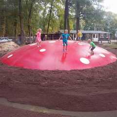 Надувная подушка для установки в грунт «Лесной прыжок», 10×10×2 м