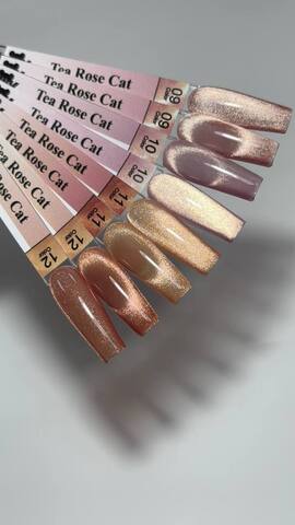 Tea rose Cat 09