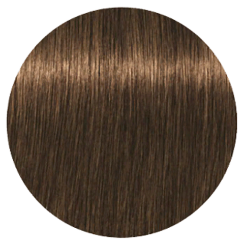 Schwarzkopf Igora Royal New 6-63 (Темный русый шоколадный матовый) - Краска для волос