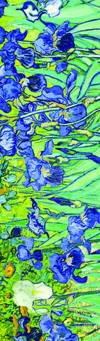 Əlfəcin Van Gogh 5