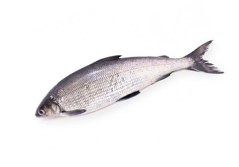 Сиг охлажденный~1кг