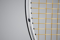 Ракетка теннисная Tecnifibre T-Fight RS 315 + струны + натяжка