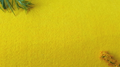 Фетр средней жесткости 3 мм, ш. 1 м, 450 гр/м2, жёлтый