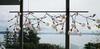 Люстра Heracleum Endless Black