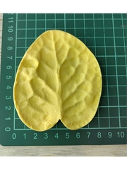 Молд пластиковый+вайнер силиконовый 