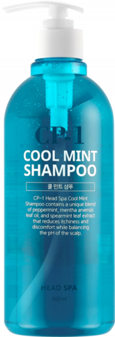 Освежающий шампунь с ментолом для проблемной кожи головы Esthetic House CP-1 Head Spa Cool Mint Shampoo