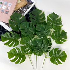 Монстера, листья на ветке, зеленая, ветка, 55 см, набор 3 ветки
