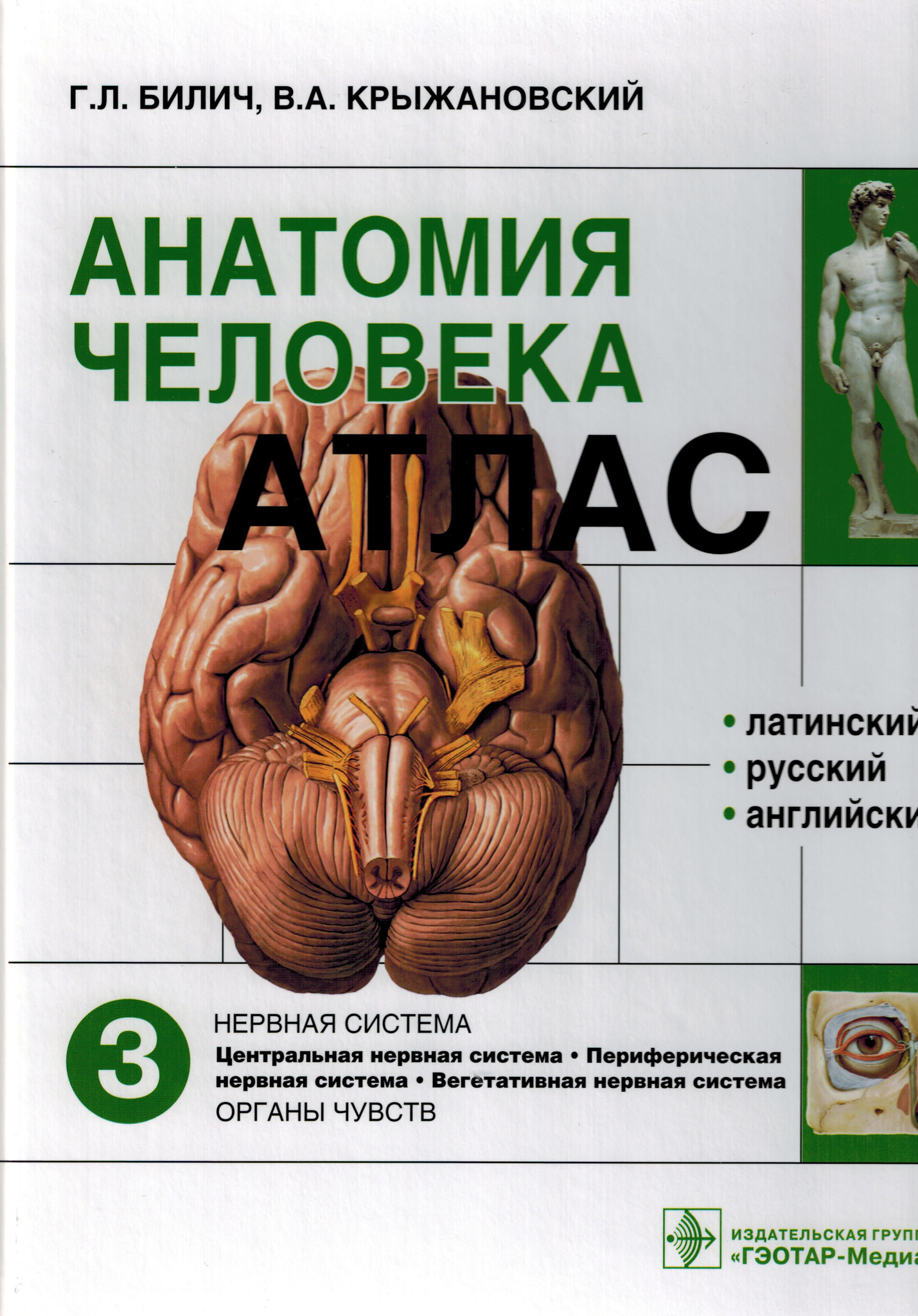 Атлас анатомии человека билич г л. Билич Крыжановский анатомия 1 том. Билич Крыжановский анатомия человека атлас. Атлас анатомии человека Билич Крыжановский в 3-х томах. Атлас анатомия Билич Крыжановский 1 том.