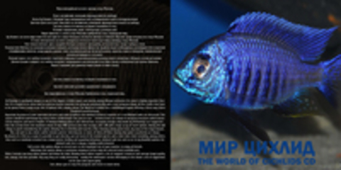 Мир цихлид/THE WORLD OF CICHLIDS CD