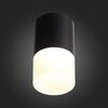 Светильник потолочный ST Luce ST100.442.10