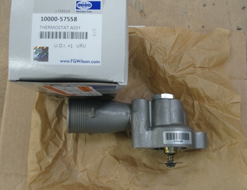 Термостат / THERMOSTAT ASSY АРТ: 10000-57558