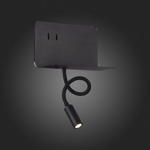 Светильник настенный ST Luce Pinaggio SL1576.401.02