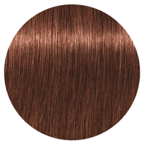 Schwarzkopf Igora Royal New 6-68 (Темный русый шоколадный красный) - Краска для волос