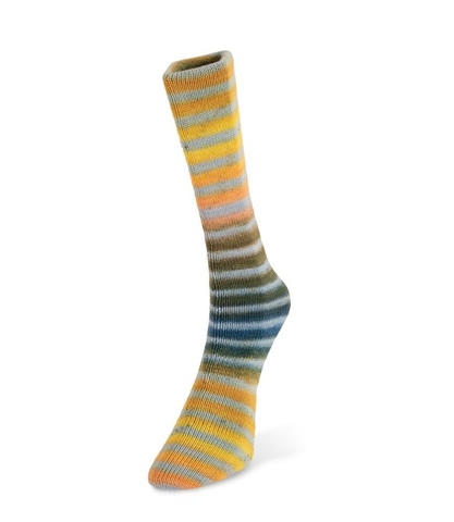 Laines Du Nord Paint Sock 090