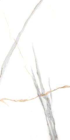 NT Ceramic Marmo Maritaca Statuario Ultra White 60x120