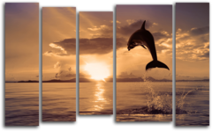 Модульная картина "Дельфины на закате"