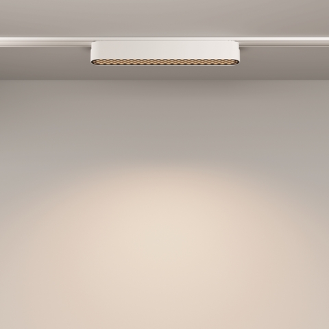 Трековый светильник Maytoni Basis grid TR084-1-12W4K-W