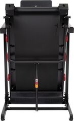 Беговая дорожка Titanium Masters Physiotech M380