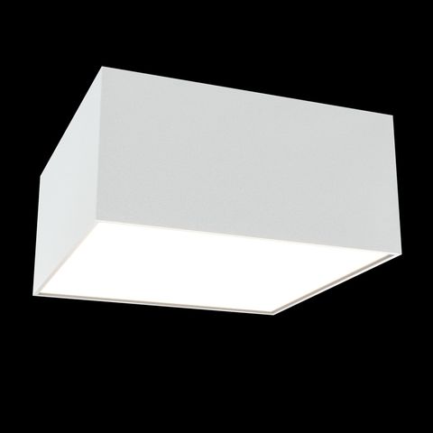 Потолочный светильник Technical Zon C067CL-L12W4K