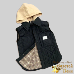 Жилет детский (1-5) 250511-SH581