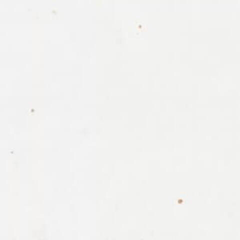 Wow Mestizaje Zellige White 12.5x12.5