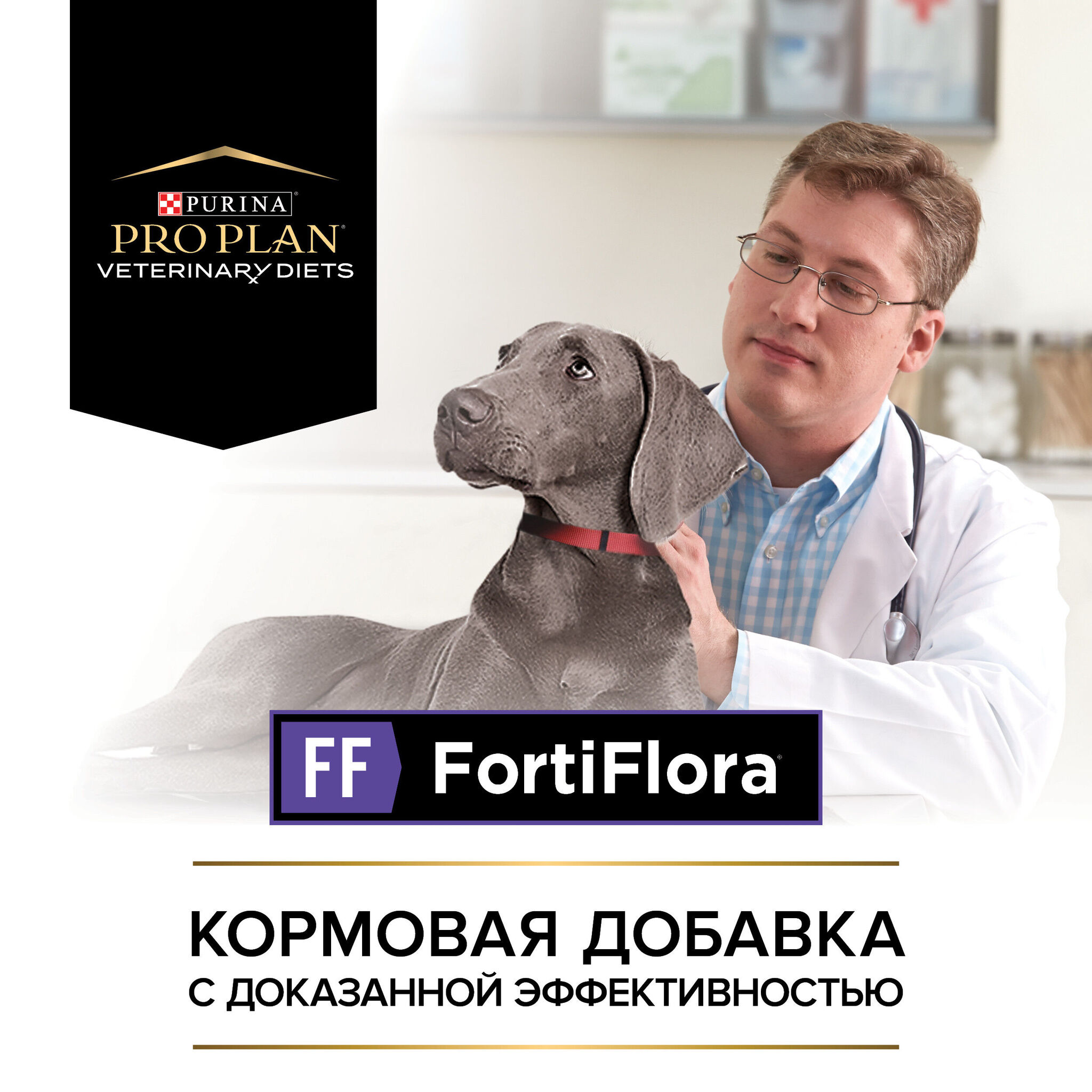 Пищевая добавка для щенков и собак Pro Plan VETERINARY DIETS FortiFlora для  поддержания баланса микрофлоры купить с доставкой в интернет-магазине  зоогастроном.ру