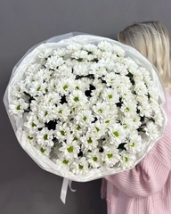 Букет с 15 кустовыми хризантемами