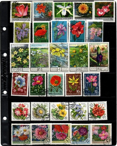 6 серий марок - СССР - Цветы - 30 штук - гашеные