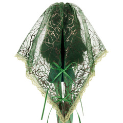 Скара Скримс Fang Club. Скуллектор Монстер Хай