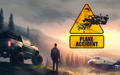 Plane Accident (для ПК, цифровой код доступа)