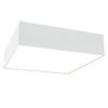 Потолочный светильник Technical Zon C067CL-L27W3K