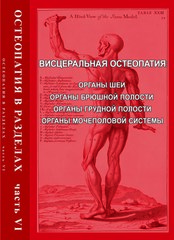 Остеопатия в разделах. Часть 6. Висцеральная остеопатия. Органы шеи, органы брюшной полости, органы грудной полости, органы мочеполовой системы