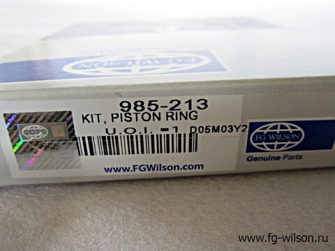 Кольца поршневые, комплект / PISTON RING KIT АРТ: 985-213