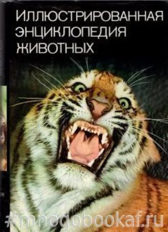 Иллюстрированная энциклопедия животных