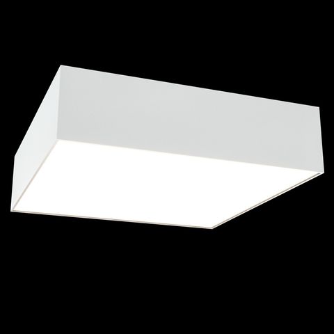 Потолочный светильник Technical Zon C067CL-L27W3K