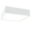 Потолочный светильник Technical Zon C067CL-L27W3K