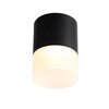 Светильник потолочный ST Luce ST100.442.15