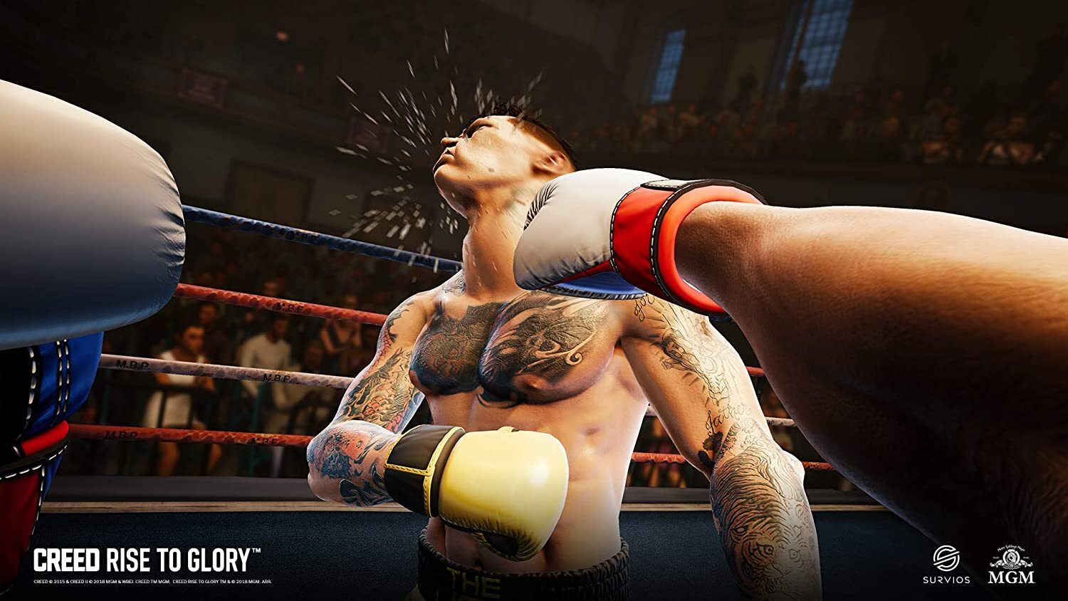 купить Creed: Rise to Glory [PS4, английская версия] – стоимость 2 590 ₽ |  Империя Игр