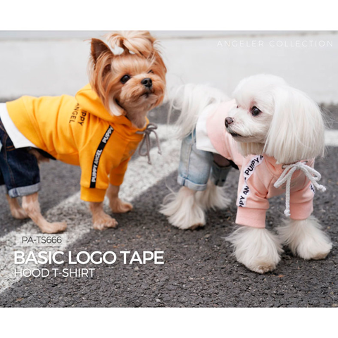 666 PA-TS Толстовка "PUPPY ANGEL"