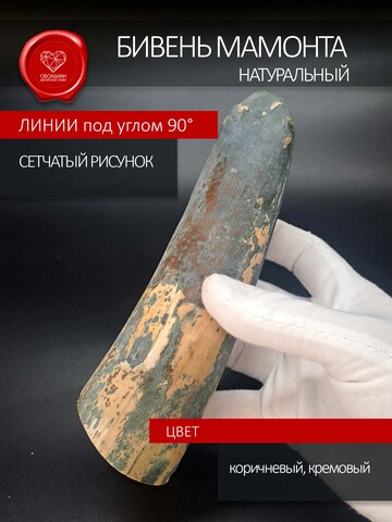 Острие бивня мамонта для коллекции