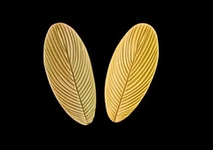 Силиконовый молд 