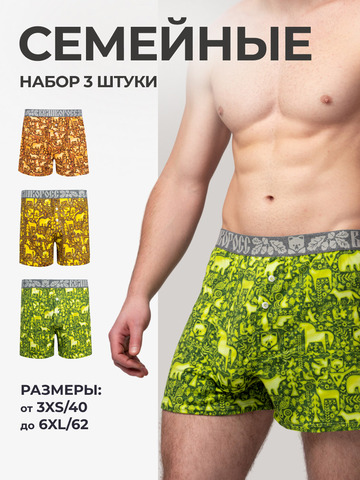 Комплект из 3 трусов-семейные – «Времена года»