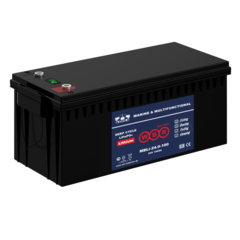 Аккумулятор WBR MBLi 24-100 (LiFePO4)