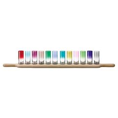 Набор разноцветных стопок для водки на подставке Paddle LSA International, 12 шт, фото 4