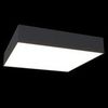 Потолочный светильник Technical Zon C067CL-L40B3K