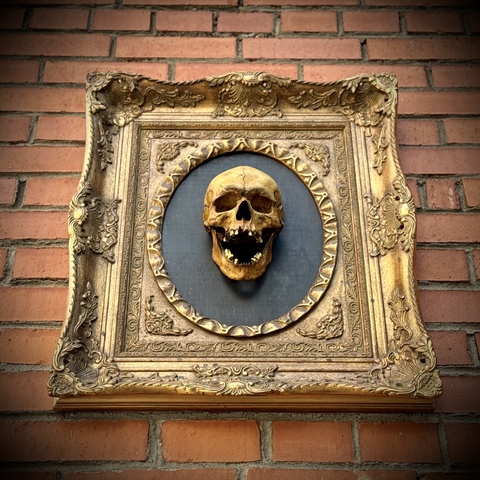 Череп в раме