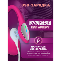 Виброяйцо для точки G с управлением через приложение Lush 4 от Lovense