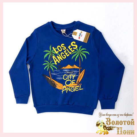 Свитшот хлопок м (1-4) 251031-FU103