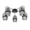 Люстра потолочная Evoluce Fiumo SLE102002-05